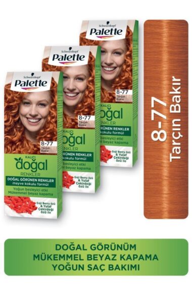 رنگ مو زنانه روی پالت Palette با کد SET.HNKL.2487