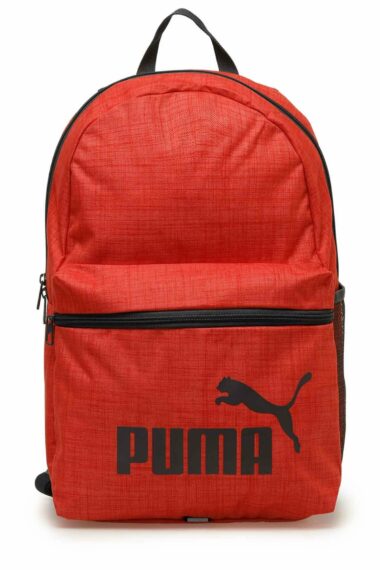 کوله پشتی مردانه پوما Puma با کد PUMA Phase Backpack III E